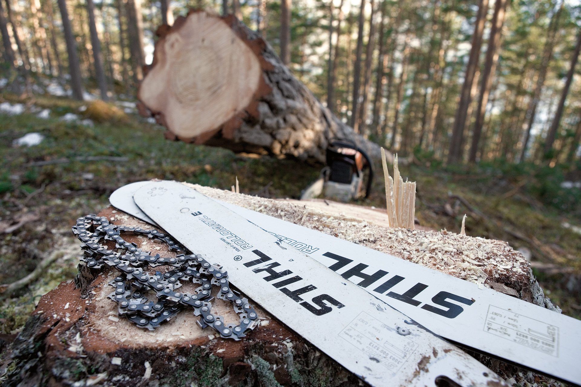 Cinq personnes en équipement de protection au travail avec des outils à batterie STIHL sur une route